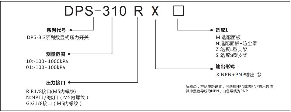 DPS-3數(shù)顯壓力傳感器型號(hào)說明